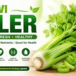 Pravi Celer: Health Benefits, Nutrition & Growing Guide