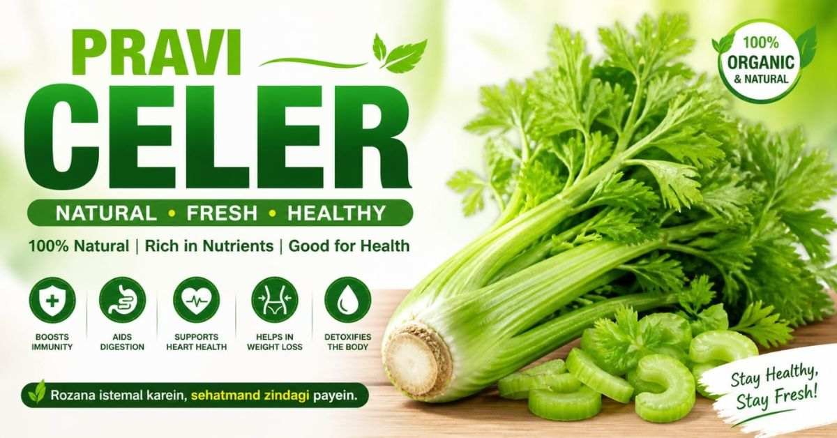 Pravi Celer: Health Benefits, Nutrition & Growing Guide